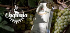 Pisco Coqueña